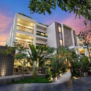 The Calm Oasis
